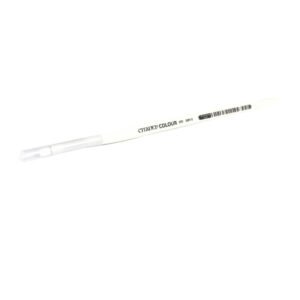 Warhammer Synthetic Dry Brush (small)-main-thumb